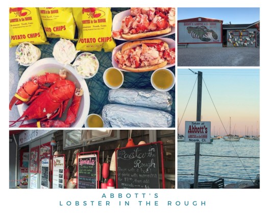 Abbott's lobster in the rough