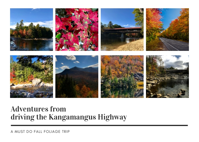 our adventuresfrom around the world